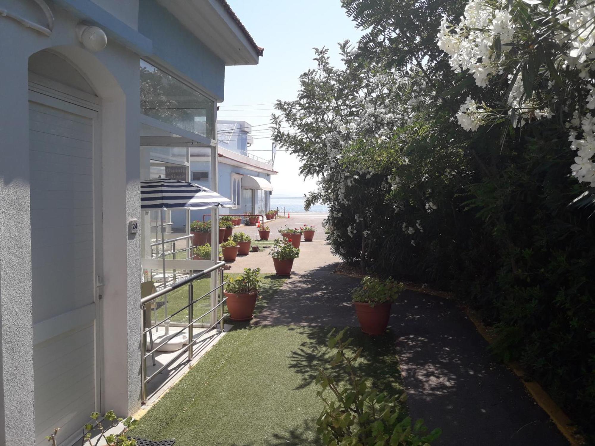 Homely Studios Chios Town Exterior photo